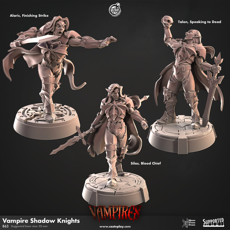 Cast 'n' Play 863: Vampire Shadow Knights-3D Print-Ashdown Gaming