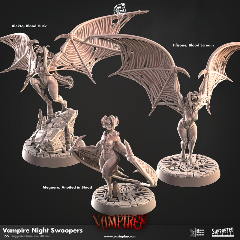 Cast 'n' Play 865: Vampire Night Swoopers-3D Print-Ashdown Gaming