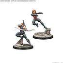 Marvel: Crisis Protocol - S.H.I.E.L.D Affiliation Pack-Ashdown Gaming