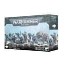 Space Wolves - Grey Hunters-Boxed Set-Ashdown Gaming