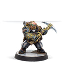 Warcrow - Beyond Winds of the North-Boxed Set-Ashdown Gaming