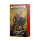 Maggotkin of Nurgle - Warscroll Cards-Boxed Set-Ashdown Gaming