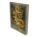 Dungeons & Dragons: Players Handbook 2024 - Alternate Cover-Book-Ashdown Gaming