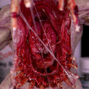 Dirty Down - Gore 15ml-Paint-Ashdown Gaming