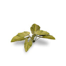 Gamers Grass - Laser Plants: Elephant Ear-Ashdown Gaming