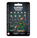 Salamanders: Upgrades and Transfers-Ashdown Gaming