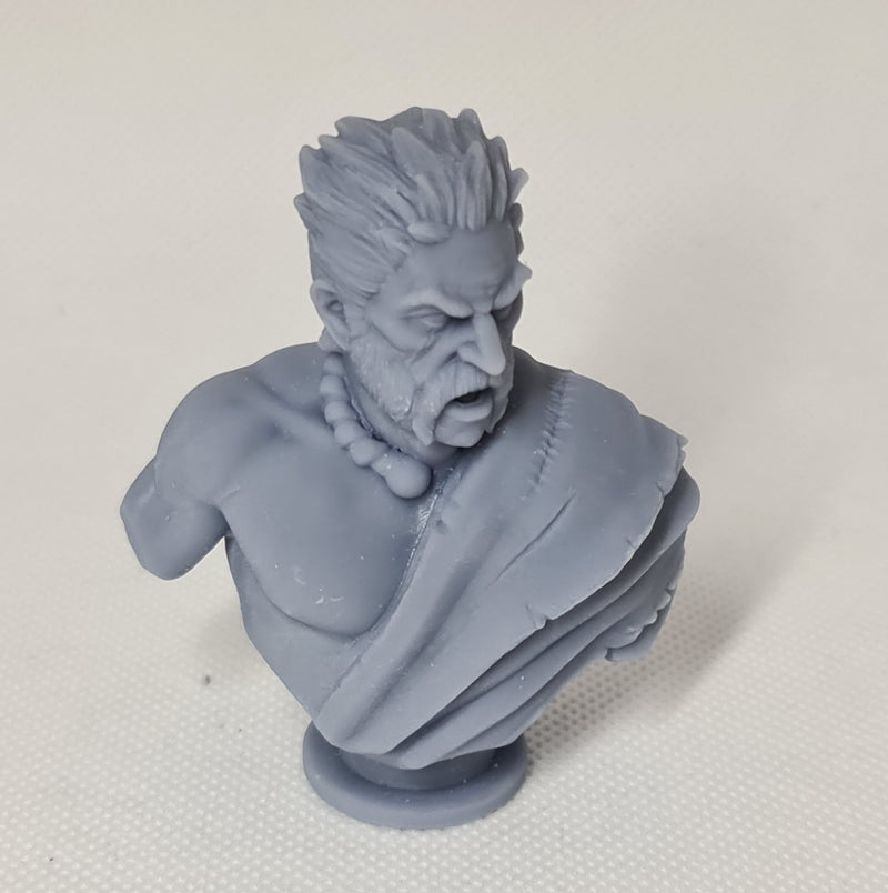 TytanTroll Miniatures: Celtic Barbarian Bust-Bust-Ashdown Gaming