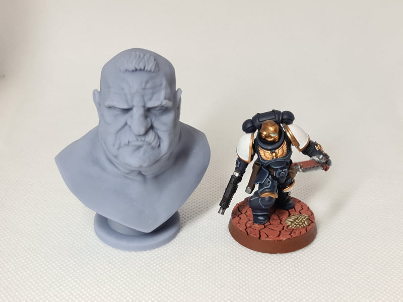 TytanTroll Miniatures: Bruiser Bust-Bust-Ashdown Gaming