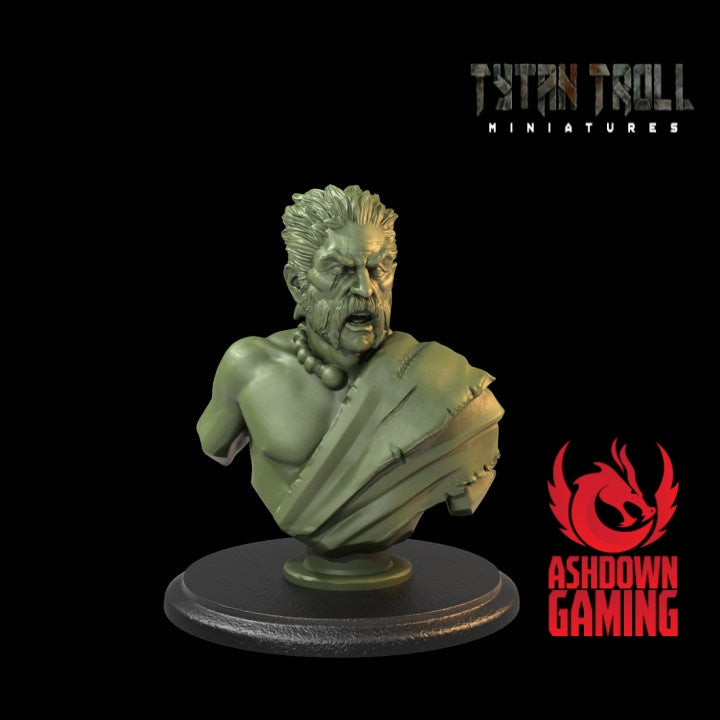 TytanTroll Miniatures: Celtic Barbarian Bust-Bust-Ashdown Gaming