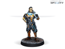 Infinity CodeOne: Yu Jing Support Pack-Boxed Set-Ashdown Gaming